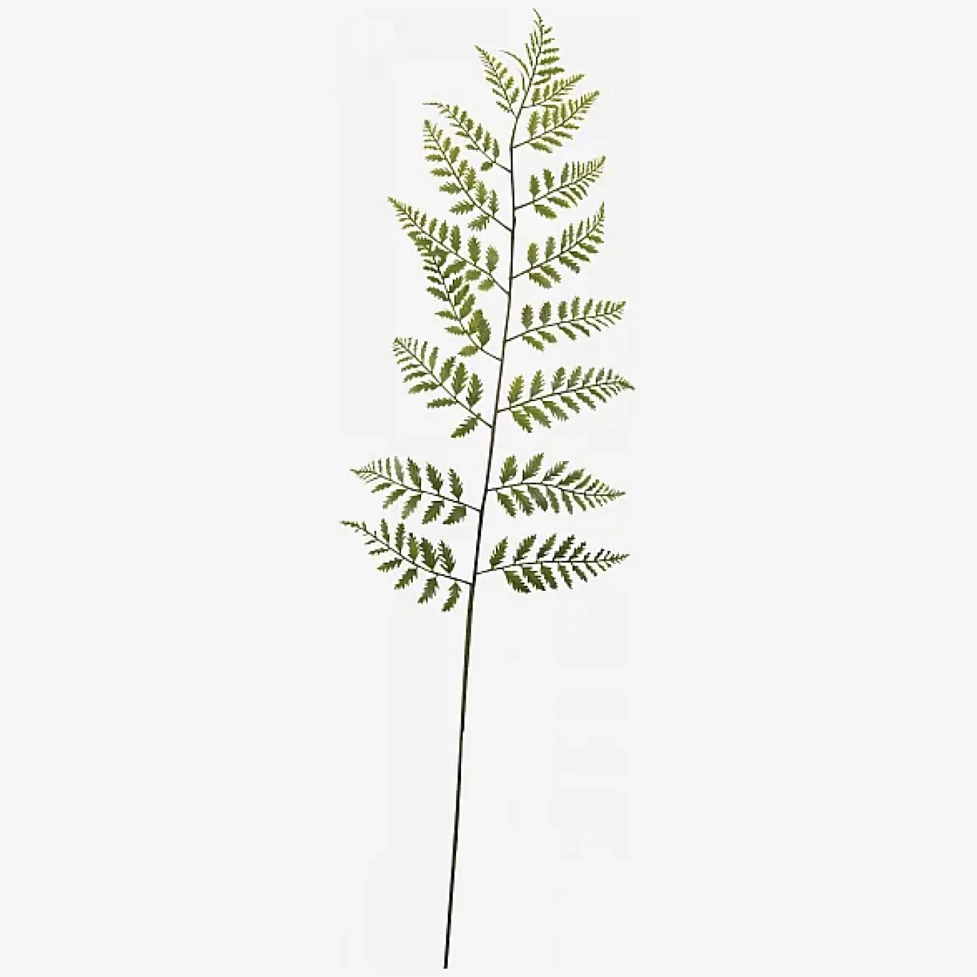 New Sia green shop Objets Décoratifs|Fleur Artificielle