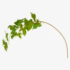 Online Sia green shop Objets Décoratifs|Fleur Artificielle