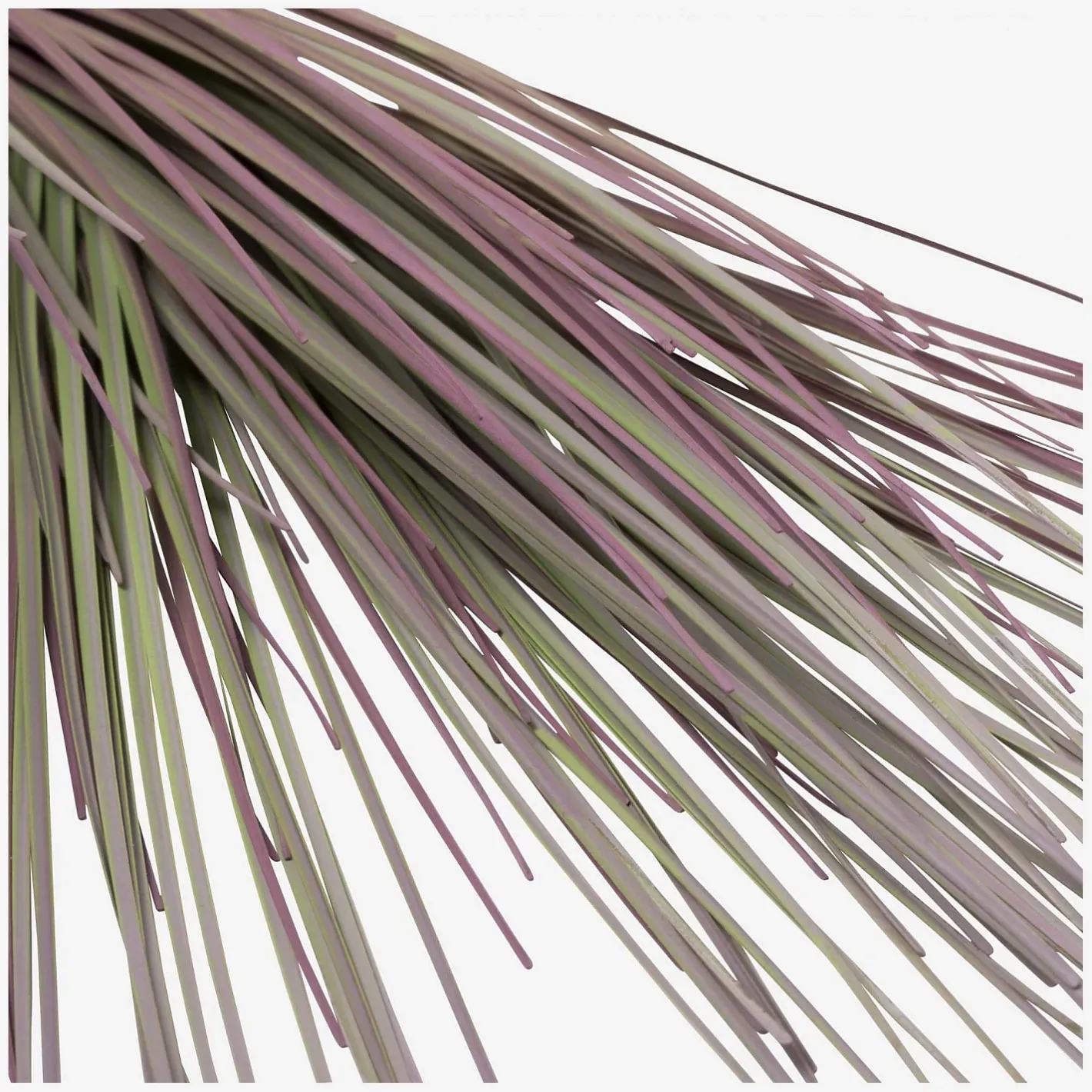 Sale Sia green shop Objets Décoratifs|Fleur Artificielle