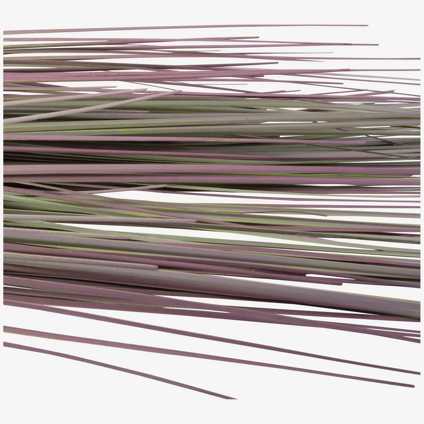 Sale Sia green shop Objets Décoratifs|Fleur Artificielle