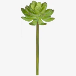 Best Sia green shop Objets Décoratifs|Fleur Artificielle